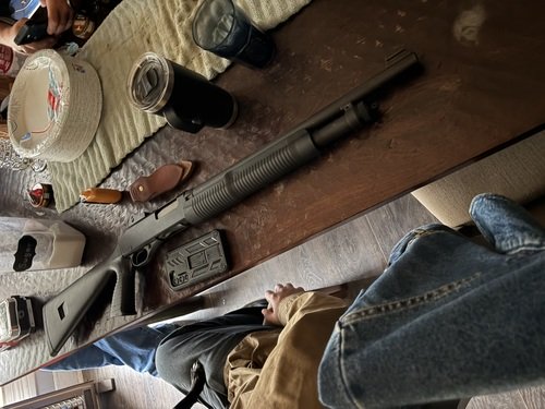 Stevens 320 12 gauge 