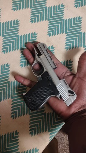 Phoenix arms 22
