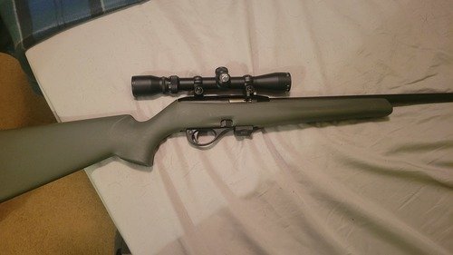 Remington mod.597 .22 cal.rifle