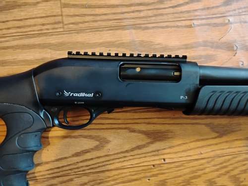 Gun