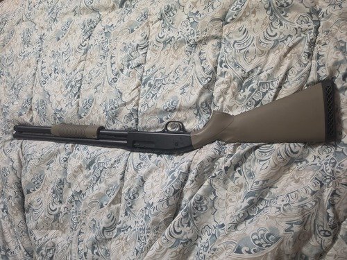 Mossberg home defense 12 gauge