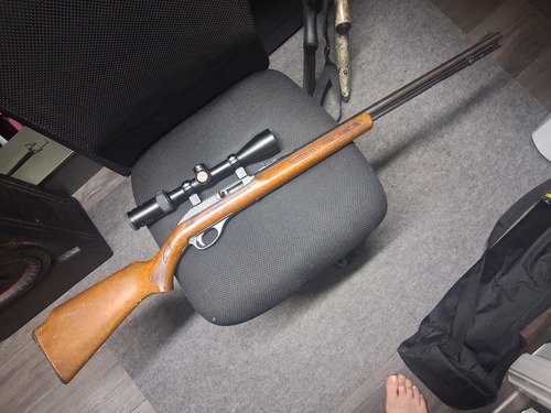 Glenfield model 60 22
