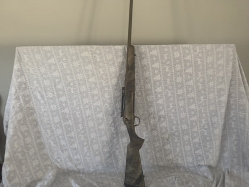 Browning X Bolt 26 Nosler..Leupold Rail…Ammo