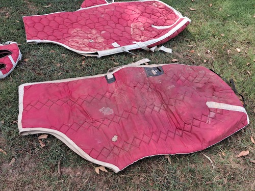 Horse Blankets 
