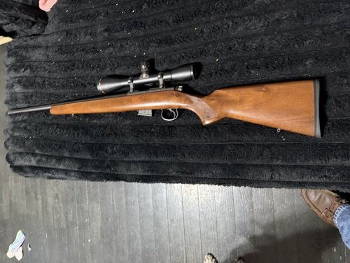Cz 17hmr