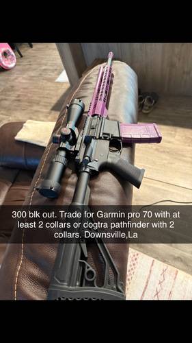 Guns & Archery Guns & Archery