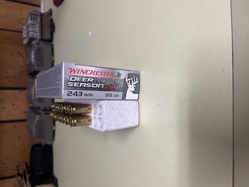 243 ammo