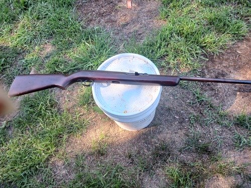 Single shot 22