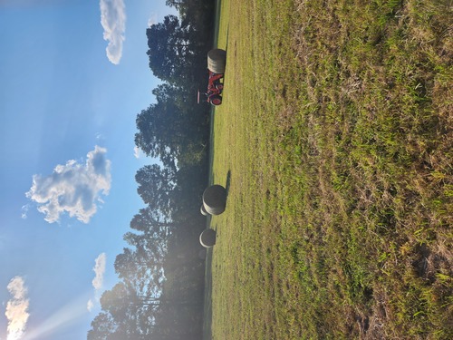 4' X 5' rolls of  fertilized hay second cut