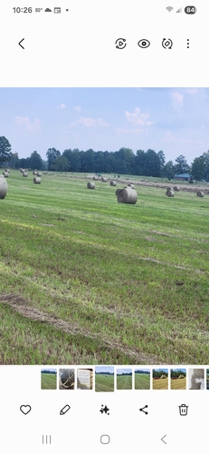 4' X 5' rolls of Bahia hay
