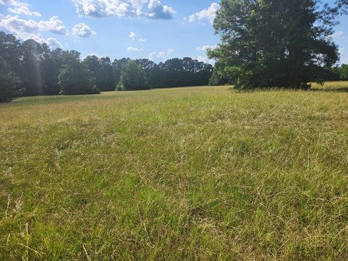 4' X 5' rolls of  fertilized hay second cut