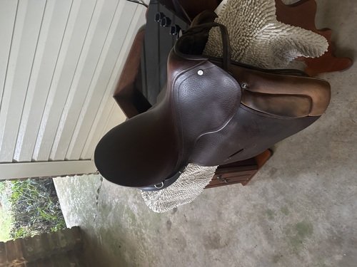 English Riding saddle