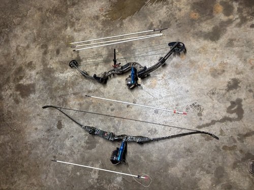 Hoyt and PSE Bows