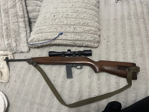 Iver Johnson us carbine .22