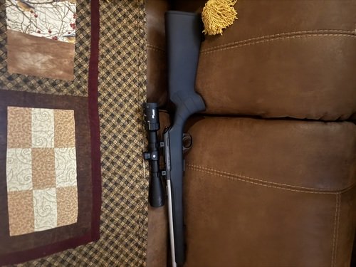 CZ 22 lr