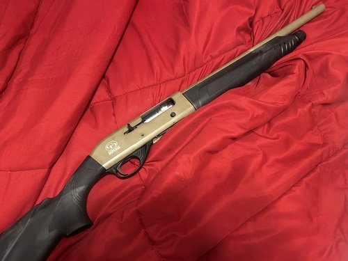 Shotgun