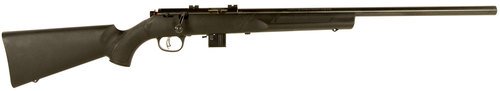 Gun