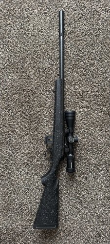 Bergara 22 mag / Nightforce