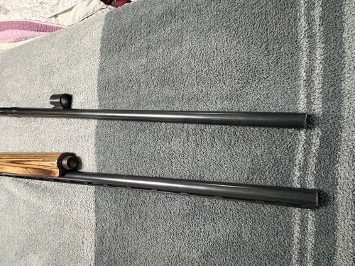 Remington 1100