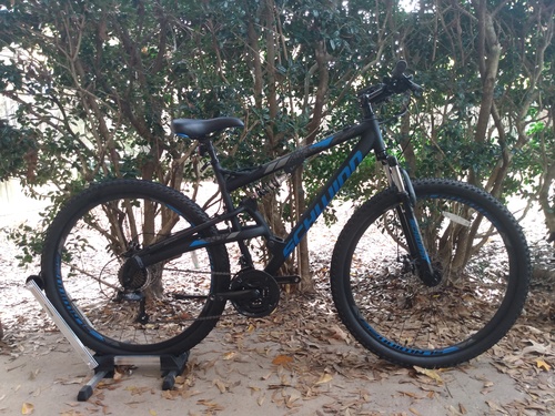 Schwinn s29 for cheap sale