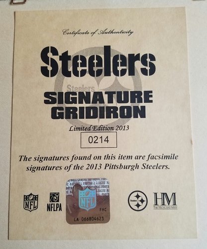 Pittsburgh Steelers  Signature Gridiron Picture 2013