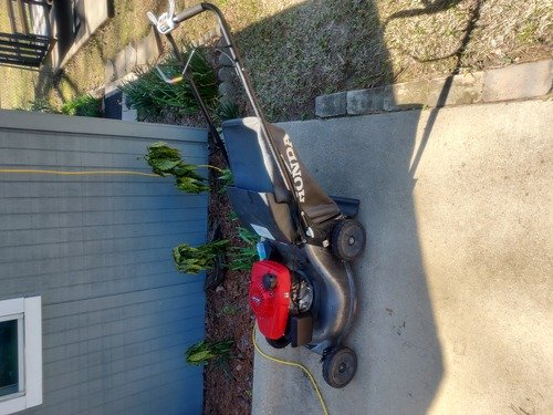 For Sale