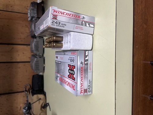 243 ammo