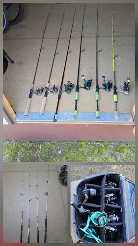 Lot of Spinning Rods, Reels, Combos 