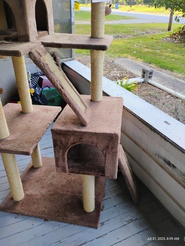 Cat Tree - TEXT MESSAGES ONLY. NO PHONE CALLS. Thank You