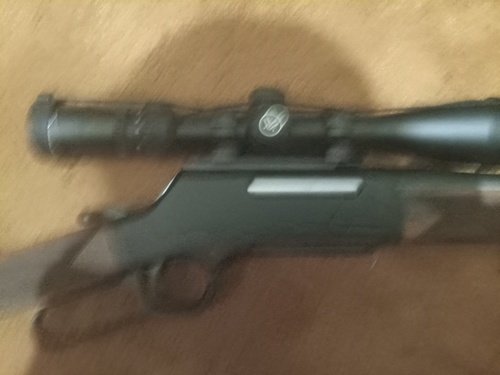 Henry Long Ranger 308