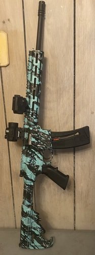 AR22 smith & Wesson 
