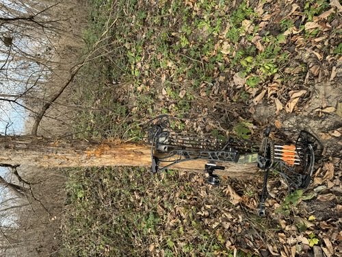 Mathew’s Lift X 29.5