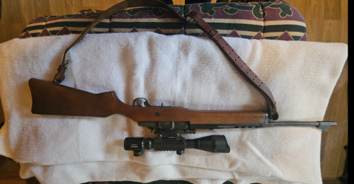 Ruger ranch rifle (mini 14)