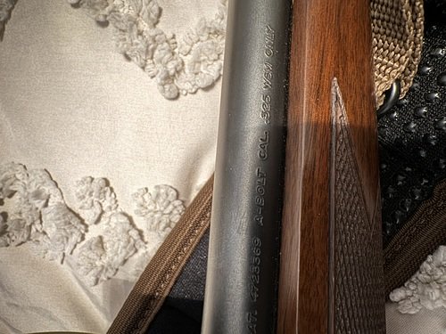 Browning Abolt 325wsm