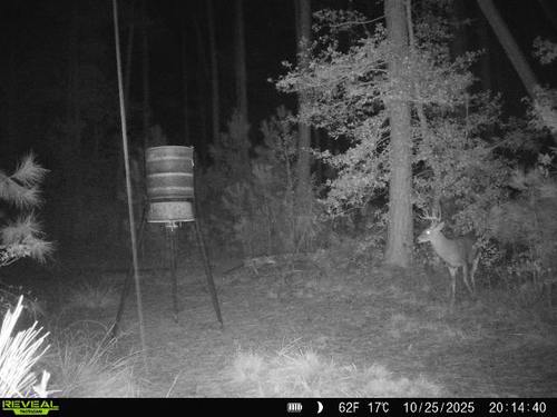 2000 acres  needs members eagle mills east Camden 1,250 dollars camp spot electric but no water 