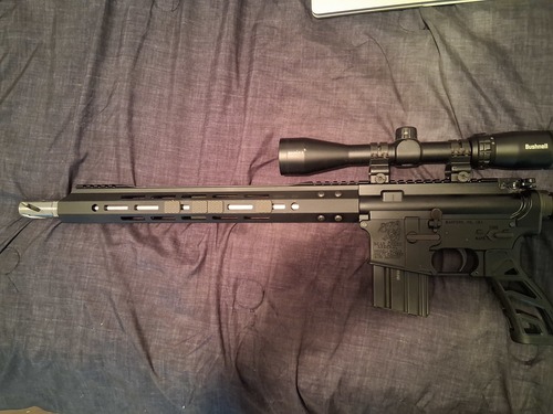 450 bushmaster 