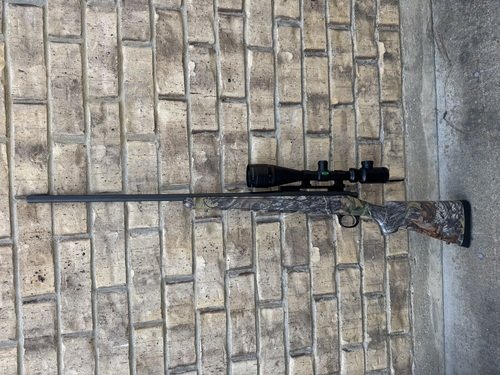Remington 700 30-06