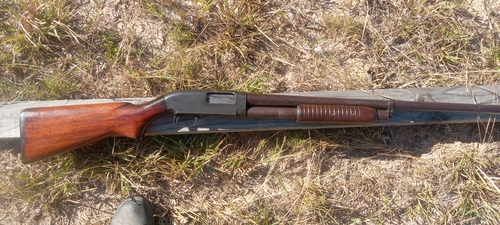 Winchester model 25 12 gauge