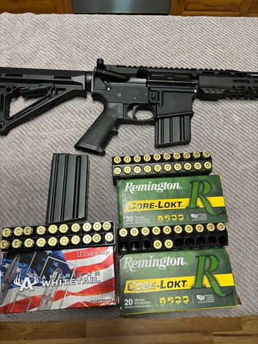AR-15 450 bushmaster with ammo