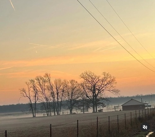 10191 Wrigley Road Ward, AR 72176